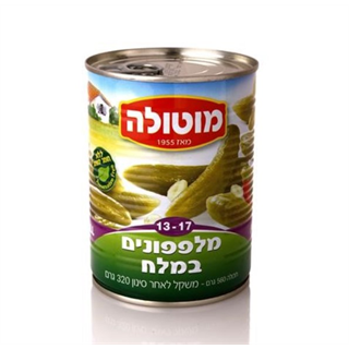 מלפפונים במלח 13-17