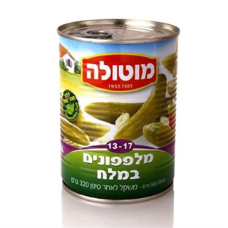 מלפפונים במלח 13-17