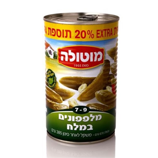 מלפפונים במלח 7-9